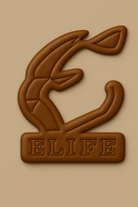ELIFE E-Bikes