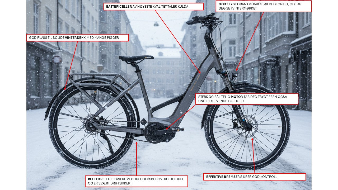 Mechanic Arts Flo elsykkel