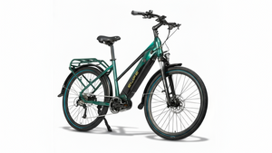 Elife Svane elsykkel i emerald farge med påsveist bagasjebærer og sterk motor